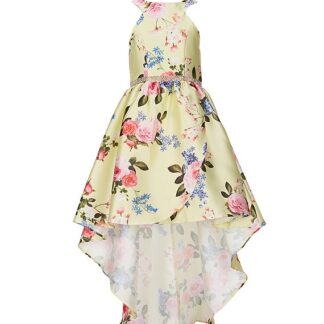 Rare Editions Floral-Printed Mikado Extreme Hi-Low Dress
