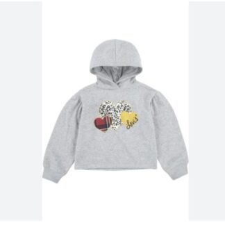 Levi's Meet and Greet Heart Pullover Hoodie
